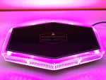Purple / Magenta Funeral LED Warning Magnetic Roof Mount Light Bar